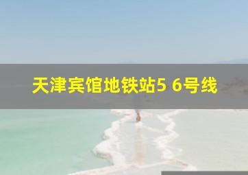 天津宾馆地铁站5 6号线